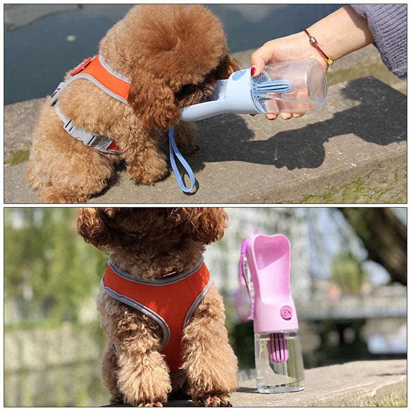 kleiner Pudel mit Hundewasserflasche