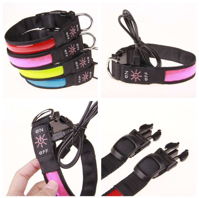 Leuchthalsband für Hunde mit USB-Ladekabel