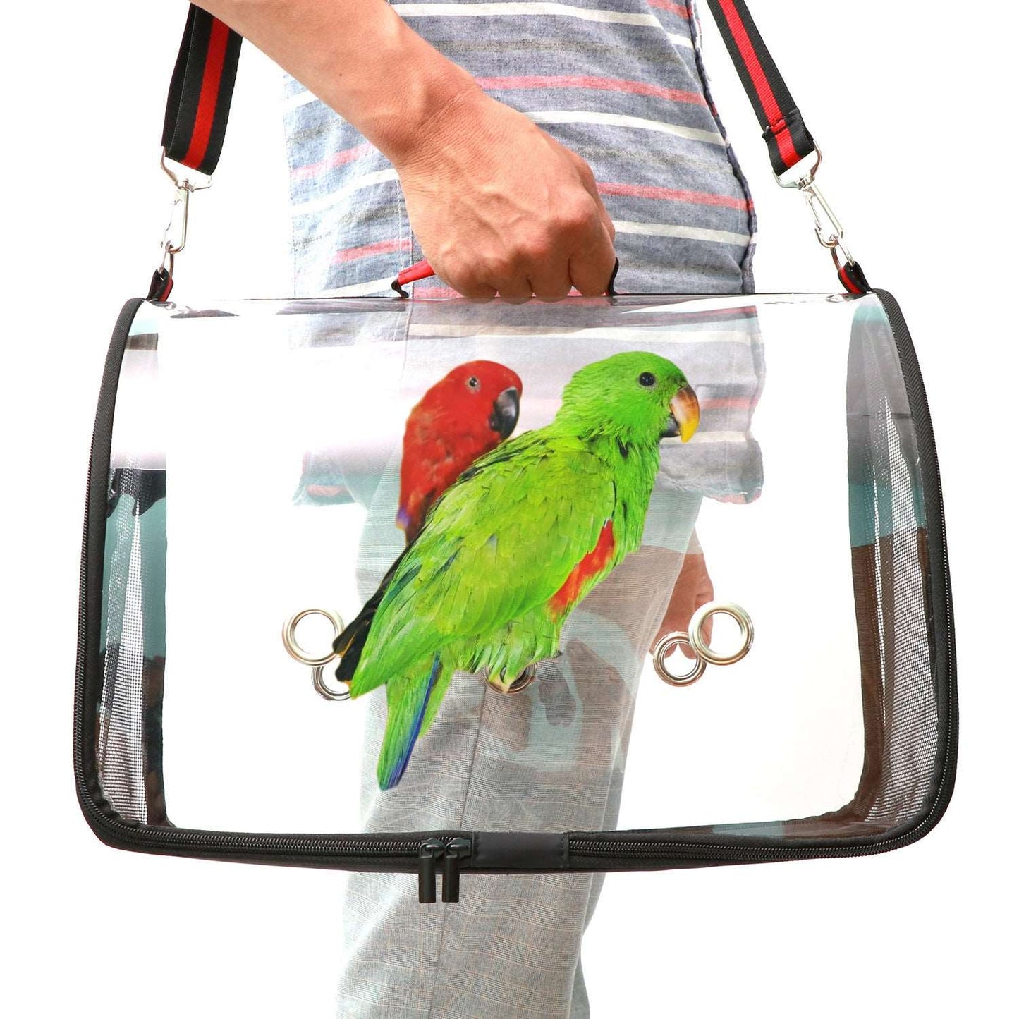 Durchsichtige Vogeltragetasche | Vogeltransportbox