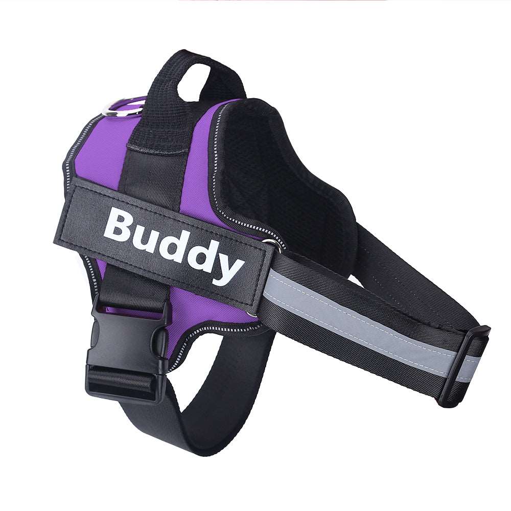 Personalisierbares Hundegeschirr in Violet