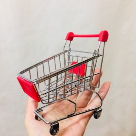 Einkaufswagen in der Hand