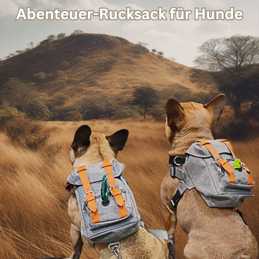 Mops mit Rucksack