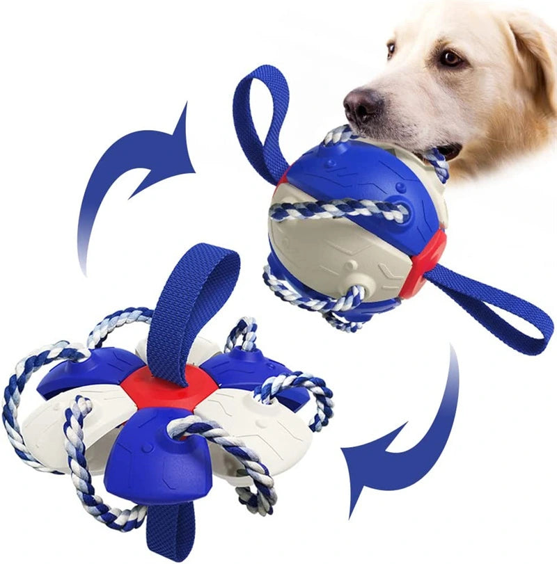 Interaktiver Frisbee-Ball Hundespielzeug