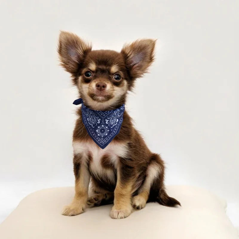 Blaues Bandana Hundehalsband mit Hund