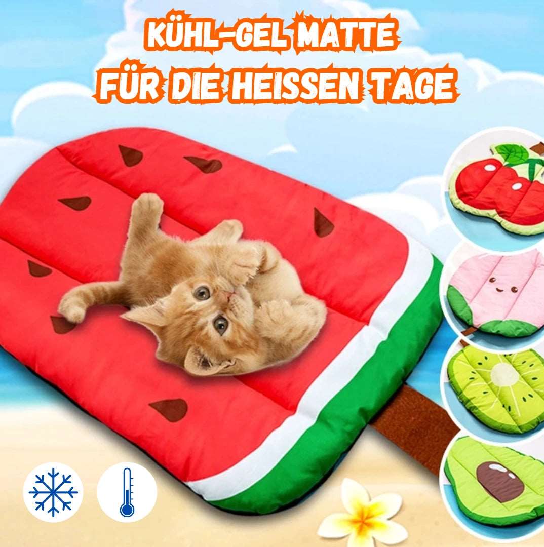 Kühlmatte für Hunde und Katzen
