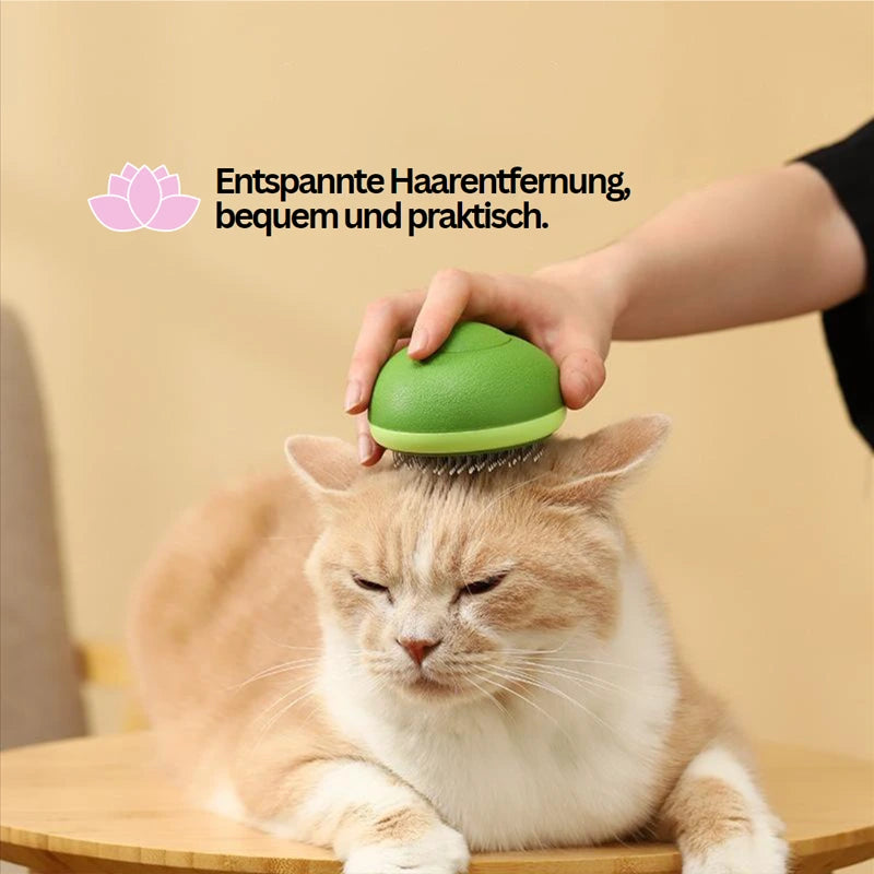 Avo-Haustierbuerste Katzenfellpflege leicht gemacht