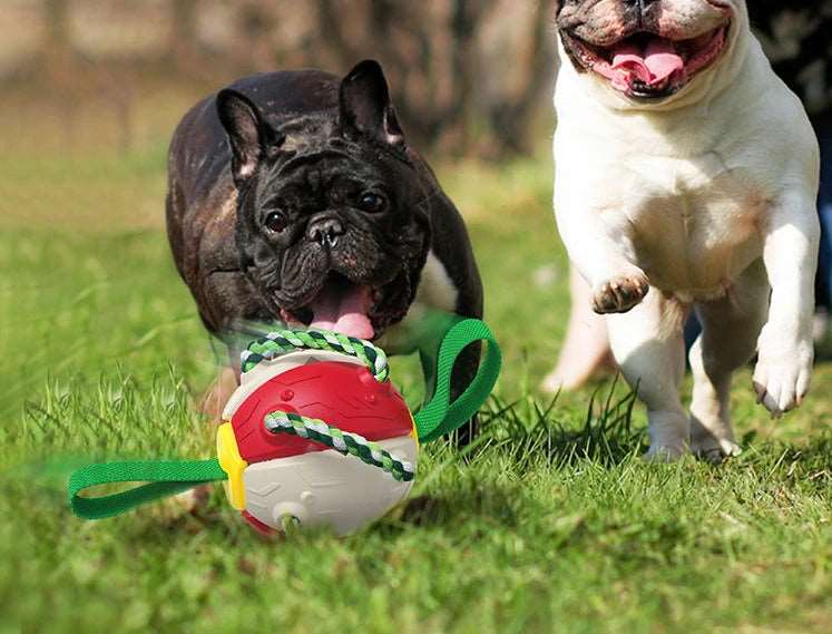 Interaktiver Frisbee-Ball Hundespielzeug