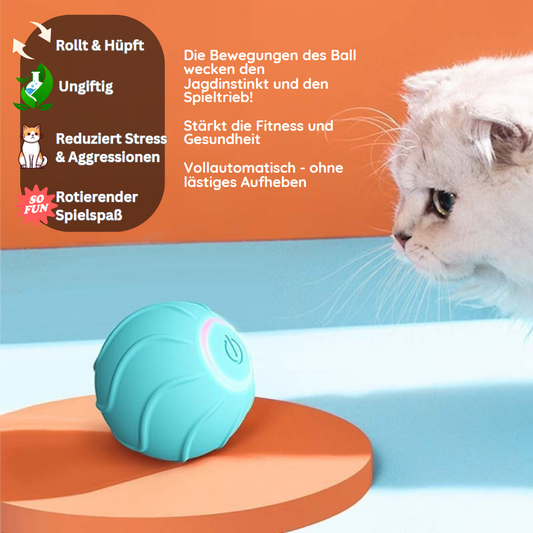 Katzenball weckt Jagdinstinkt und Spieltrieb