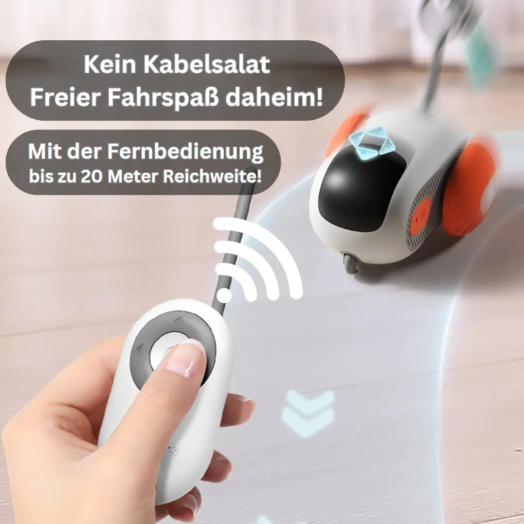 Katzenspielzeug mit Fernbedienung
