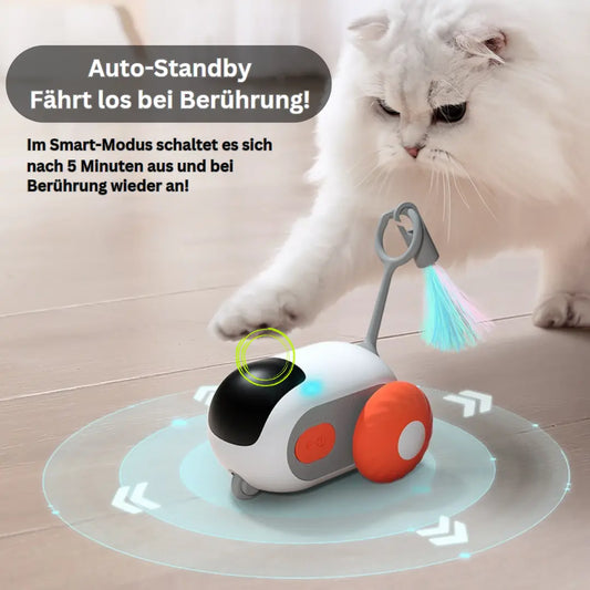 Katzenspielzeug elektrisch