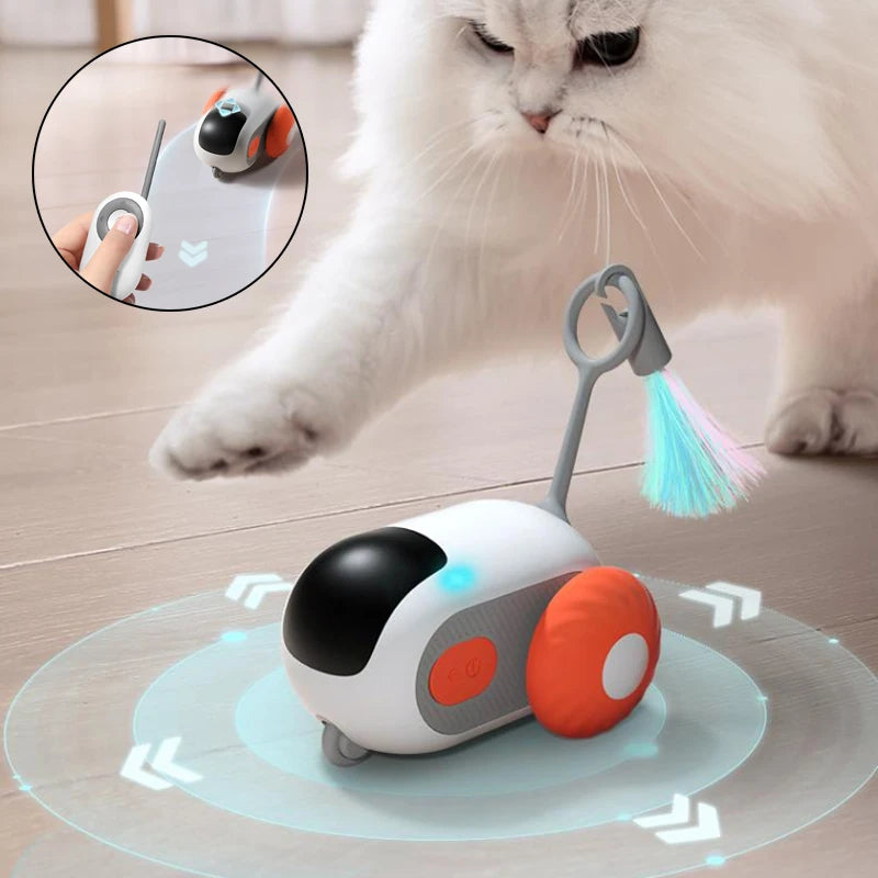 Katzenspielzeug Auto faehrt in alle Richtungen