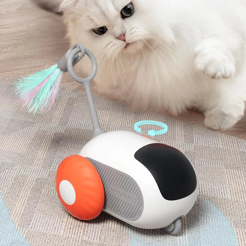 Katzenspielzeug autonomes Fahren