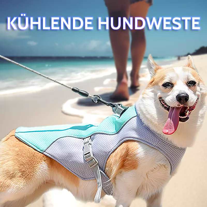 Kuehlende Hundeweste