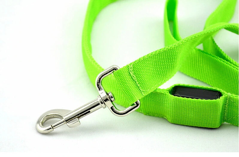 LED Hundeleine robust
