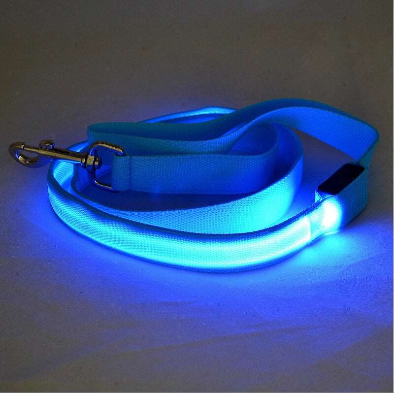 LED Hundeleine leuchtet in Blau