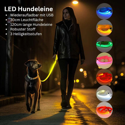 LED Hundeleine leuchtet in vielen Farben