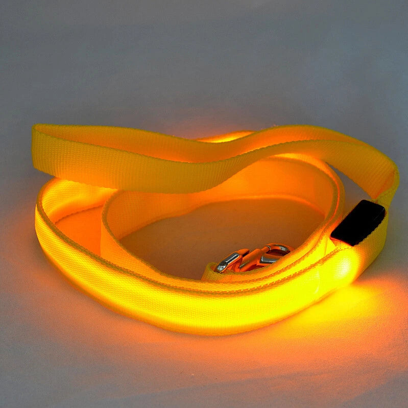 LED Hundeleine leuchtet in Gelb