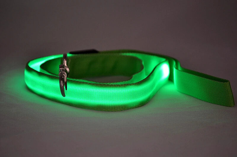 LED Hundeleine leuchtet in Grün