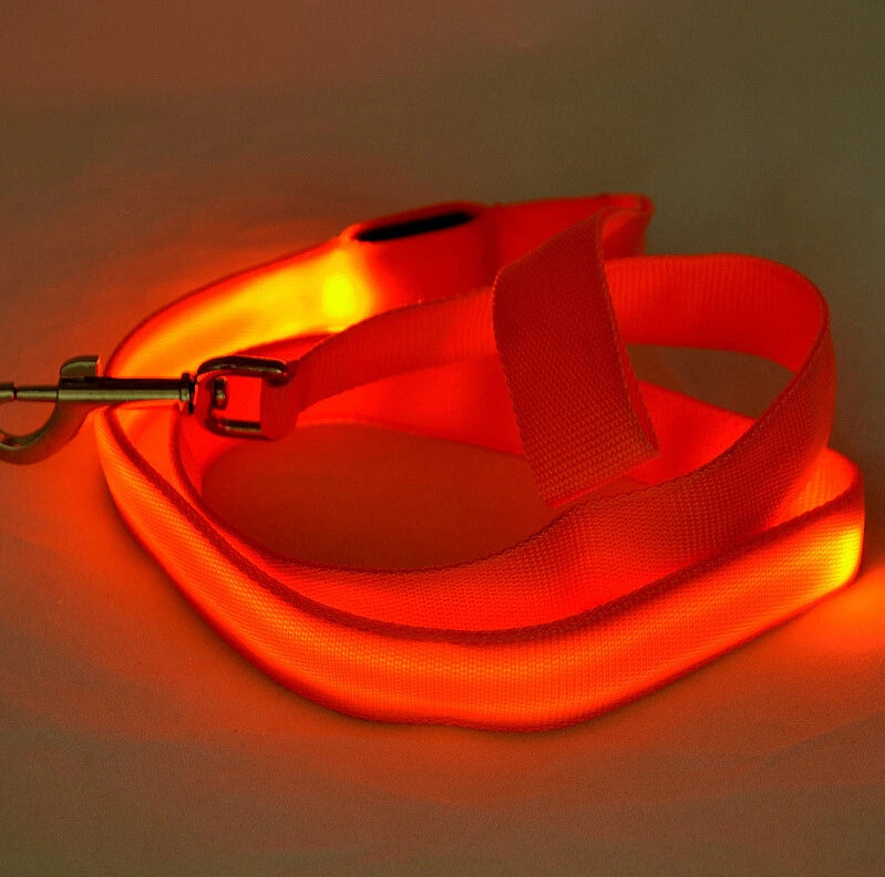 LED Hundeleine leuchtet in Orange