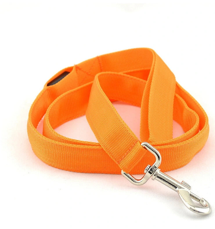 LED Hundeleine in Orange