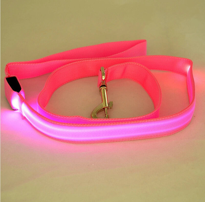 LED Hundeleine leuchtet in Pink