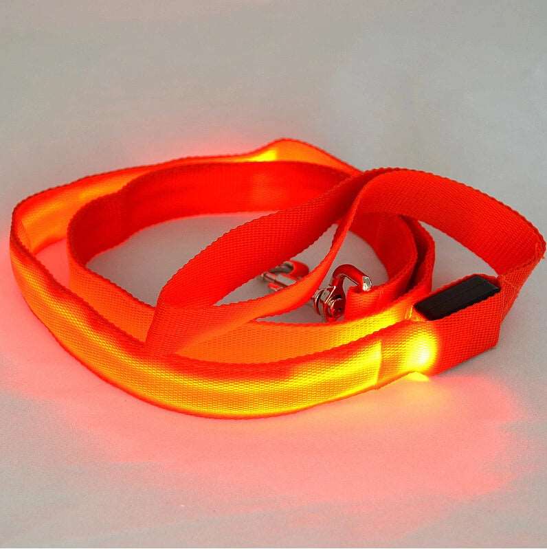 LED Hundeleine leuchtet in Rot