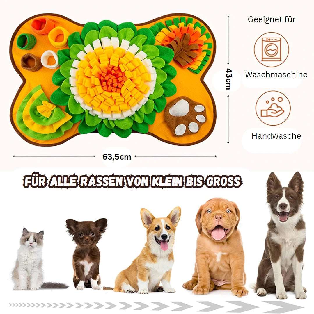 Schnüffelteppich für Haustiere