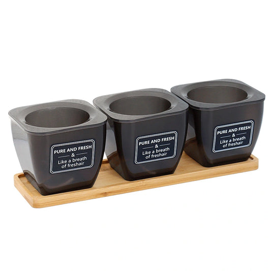 Sukkulenten Blumenkasten im 3er Set