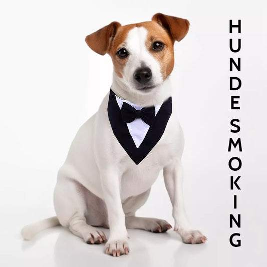 Hunde Smoking Fliege mit Jack Russel