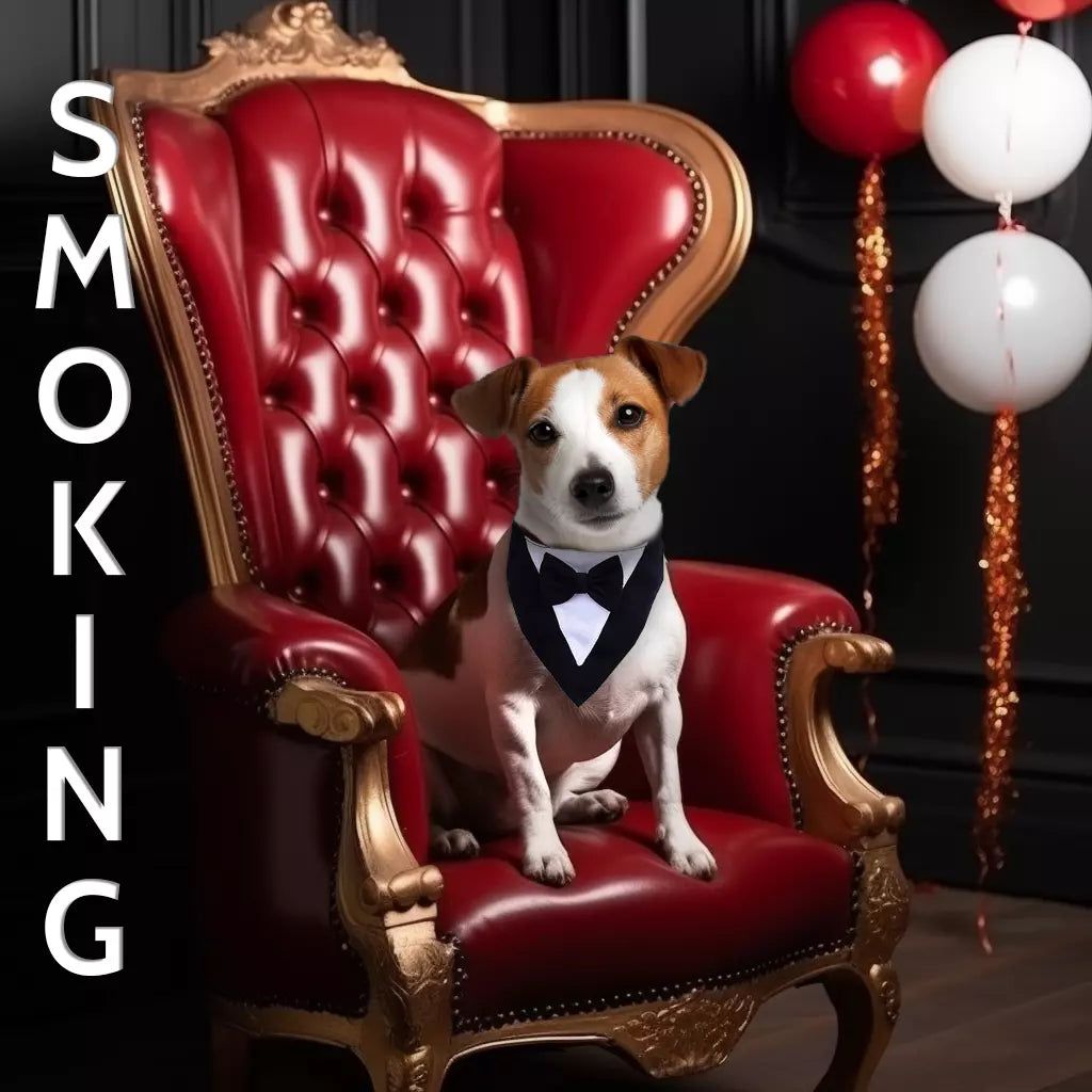 Hunde Smoking Fliege