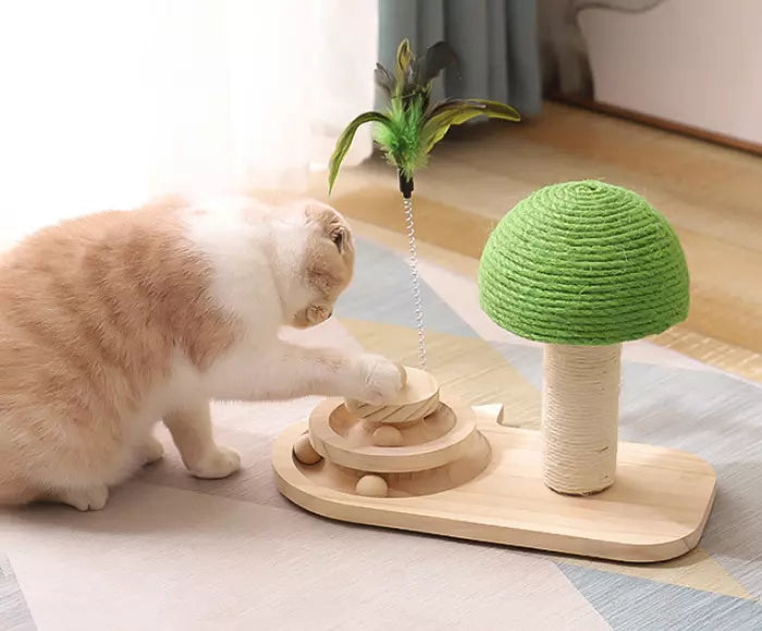 Pilzlandschaft Kratzspielzeug für Katzen