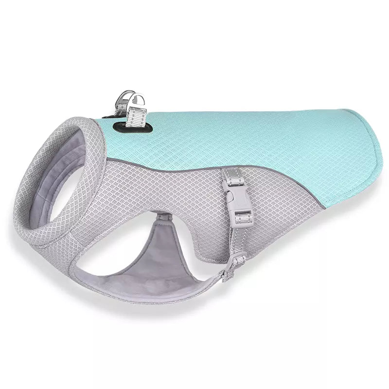 Kühlende Hundeweste in Blau