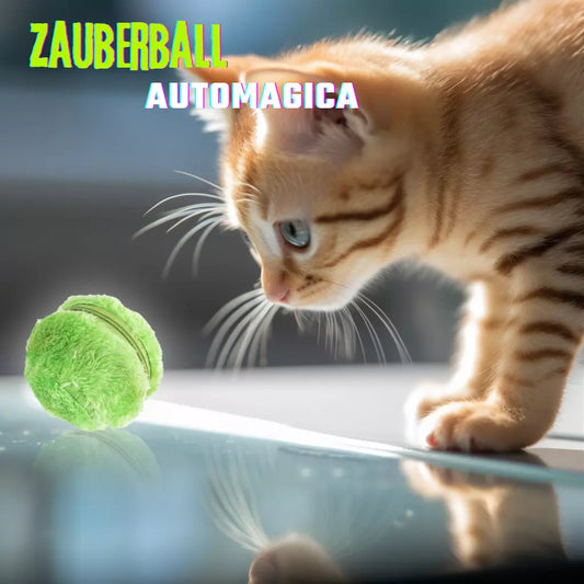 Zauberball Automagica