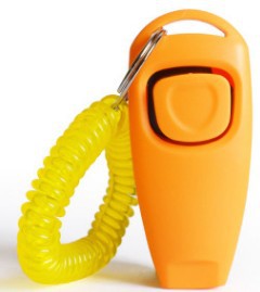 Knackfrosch für Hunde in Orange