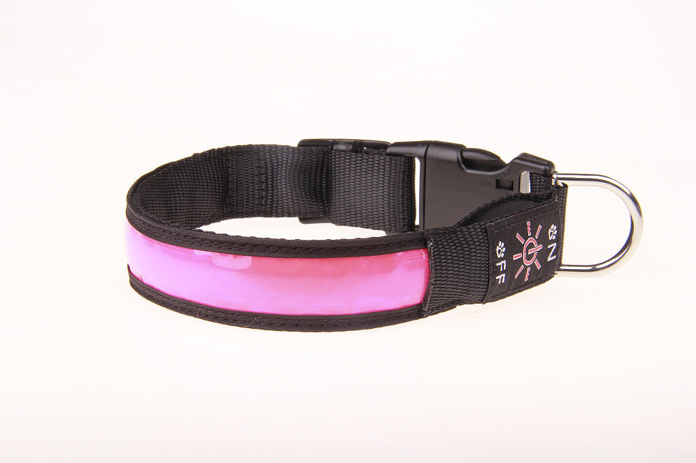 Leuchthalsband für Hunde in Pink