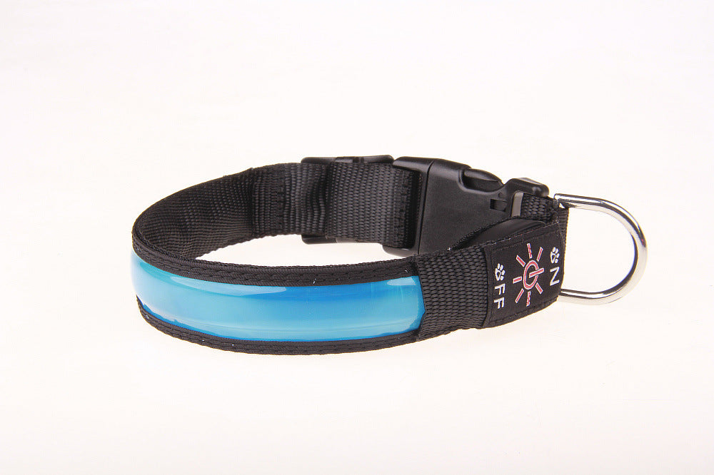 Leuchthalsband für Hunde in Blau