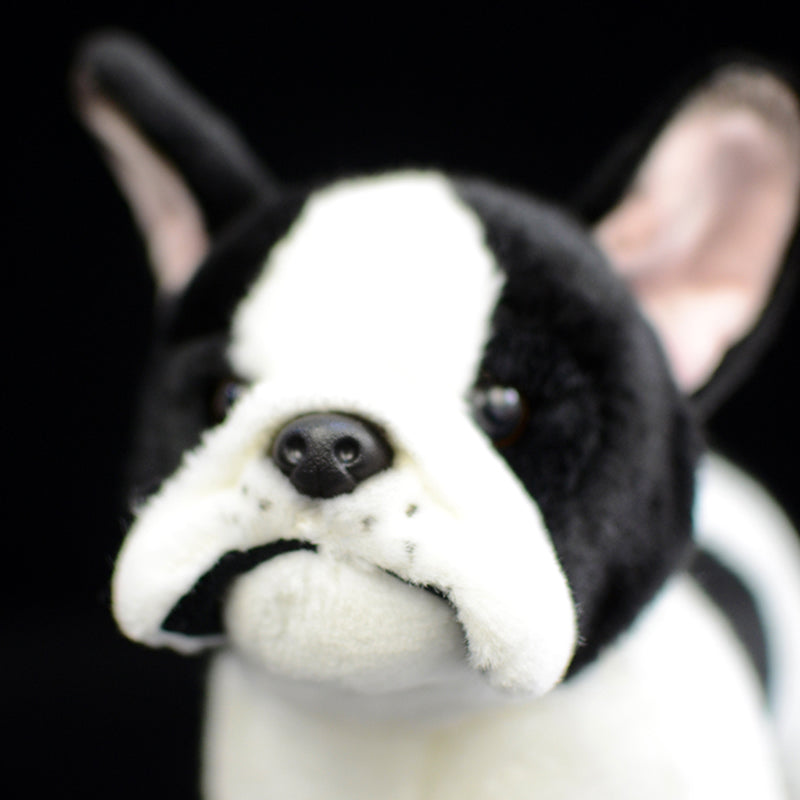 DazDrea Plüschtiere Husky | Bulldogge | Chihuahua