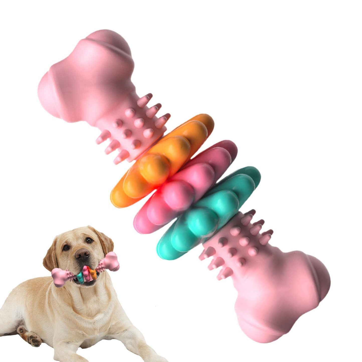 Hundekauknochen Zahnreinigung rosa mit Hund