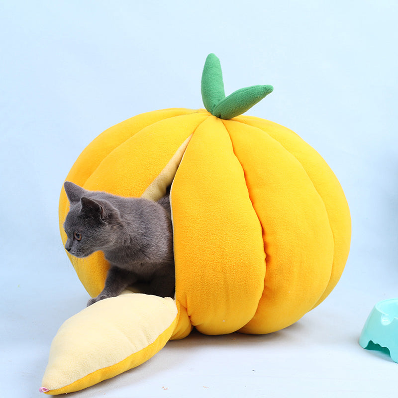 Kürbis Katzenhöhle gelb mit Katze