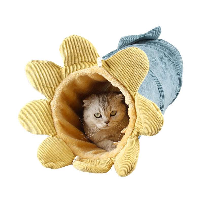 Grüner Katzentunnel mit versteckter weißer Katze gelb
