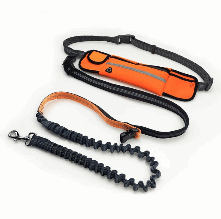 Handfreie Hundeleine mit Tasche in Orange