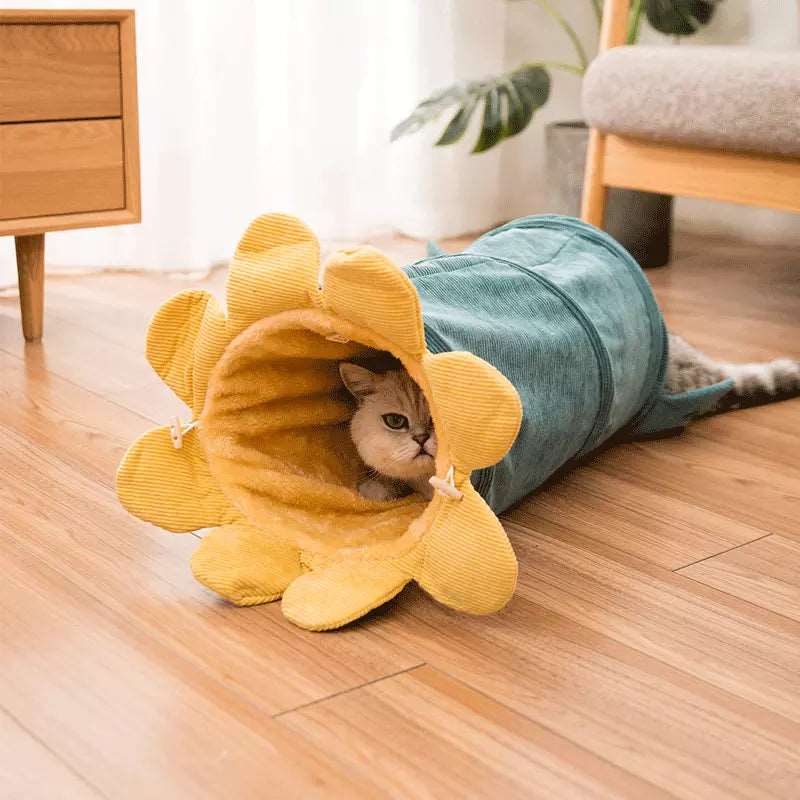 Grüner Katzentunnel mit versteckter weißer Katze