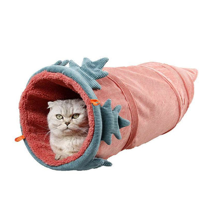 Kartotte Katzentunnel mit Katze