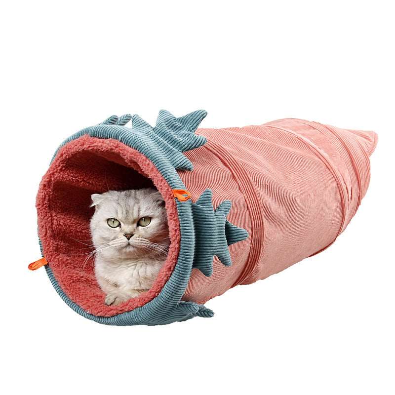 Kartotte Katzentunnel mit Katze