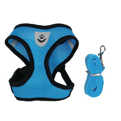Hundegeschirr Neo in Blau