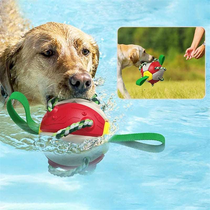 Interaktiver Frisbee-Ball Hundespielzeug