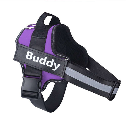 Personalisierbares Hundegeschirr in Violet