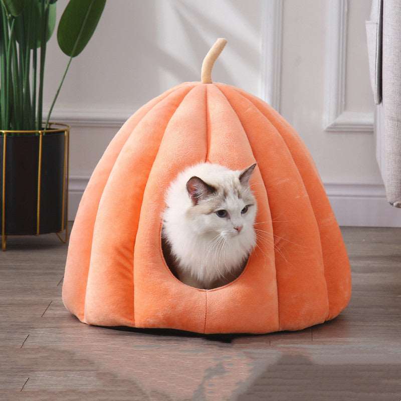 Kürbis Katzenhöhle mit Katze darin