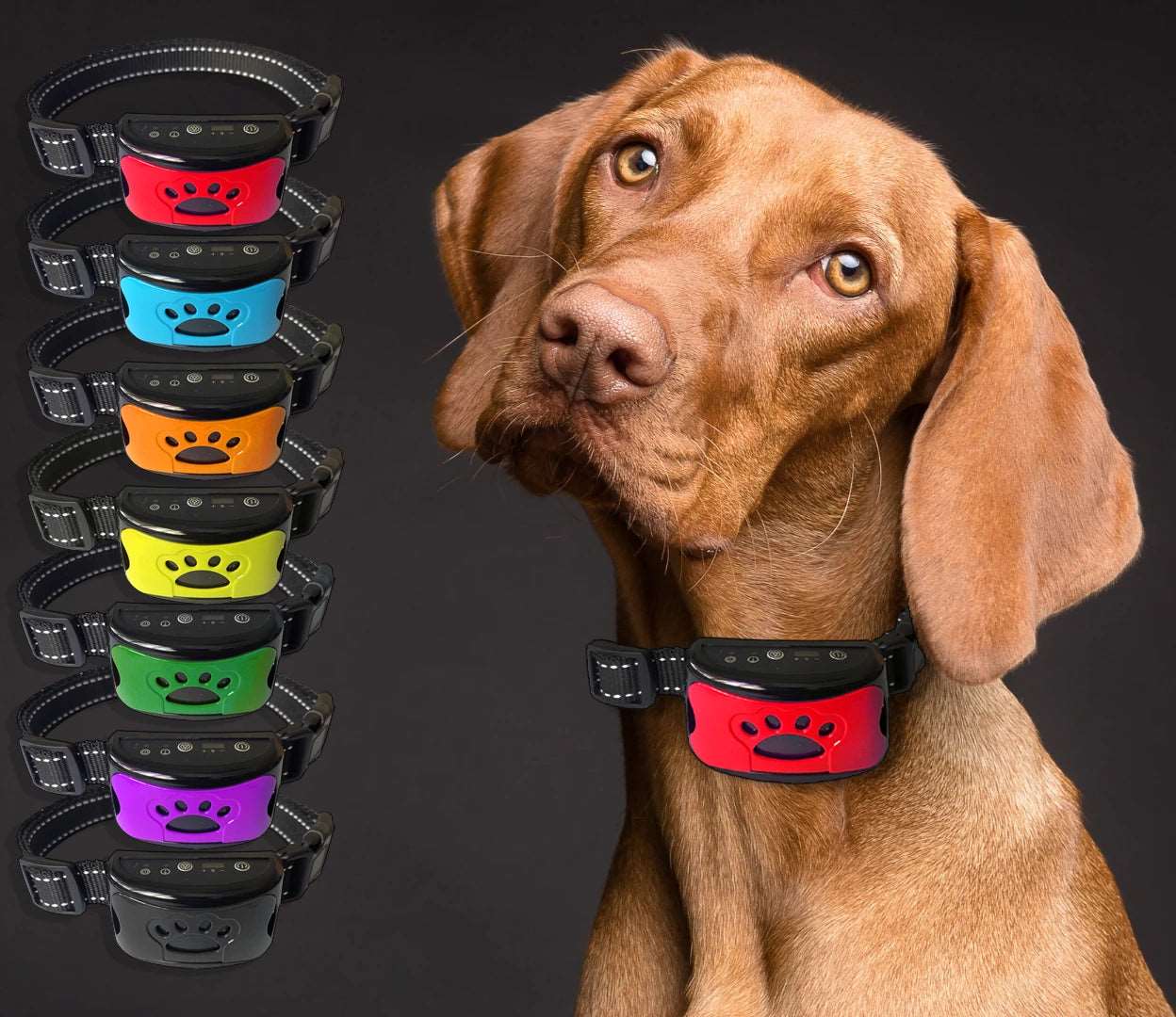 Anti-bell Hundehalsband mit Hund in allen Farben