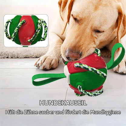 Interaktiver Frisbee-Ball Hundespielzeug